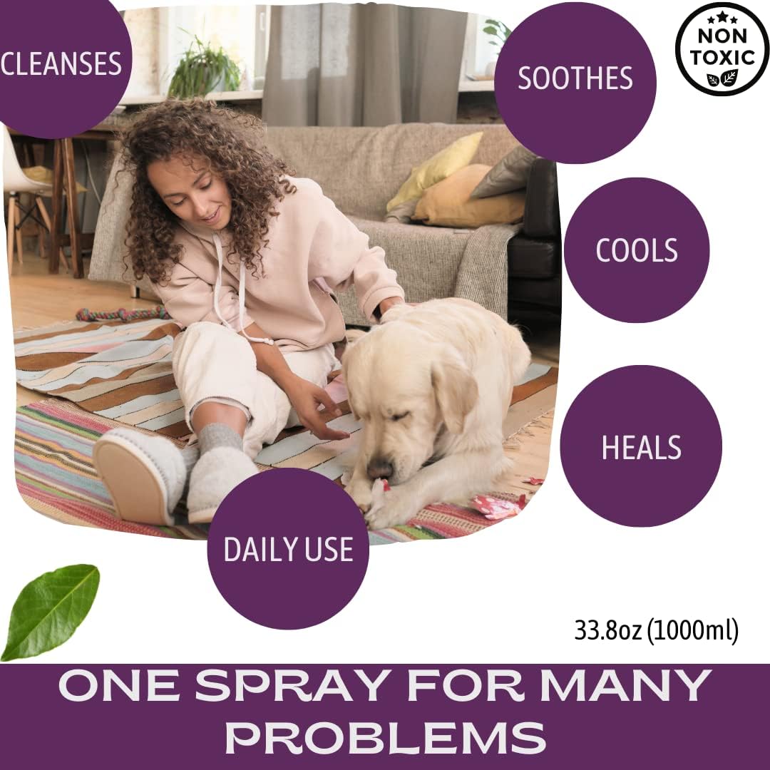 Reboot silver wound & skin care spray for dogs cats - 1000